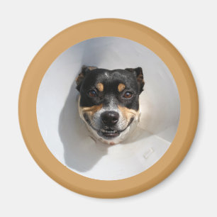 Rolig leende hund magnet