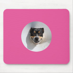 Rolig leende hund musmatta