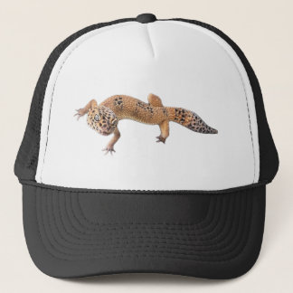 Rolig Leopard Gecko Keps