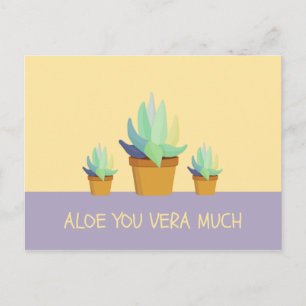 Rolig Lila Gul Aloe Vera Sukkulent Vykort