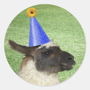 Rolig Llama i partyhattklistermärkear Runt Klistermärke
