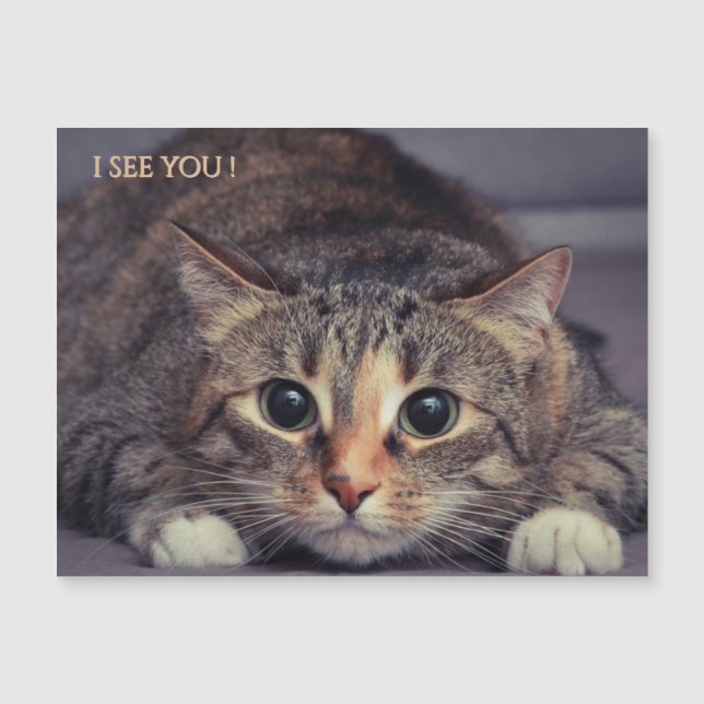 Rolig Magnetisk Jag Ser Dig Katt Magnet (Framsida)