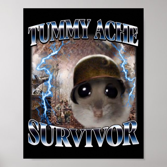 Rolig Magsjuke Överlevande Hamster Meme Poster (Framsidan)