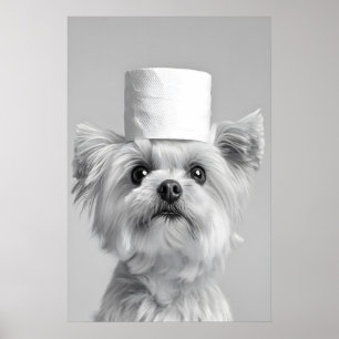 Rolig malteserhund med toalettpapperhatt, badrum poster