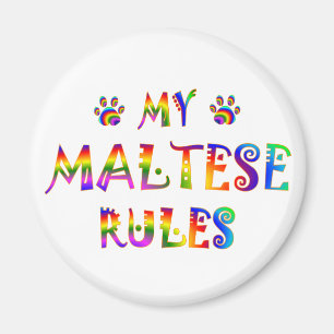 Rolig maltesisk regler magnet