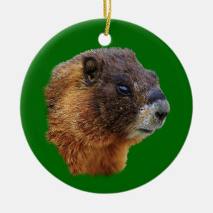 rolig marmot julgransprydnad keramik