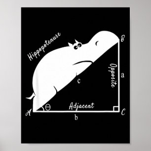 Rolig matematiklärare,rolig hypotenusa,geometrilär poster