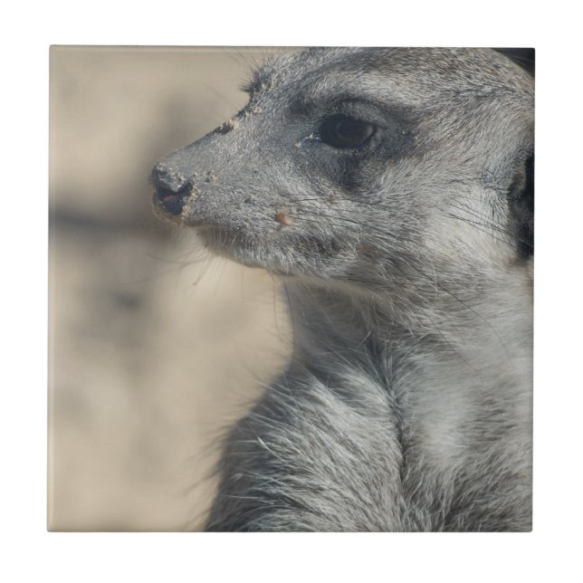 Rolig Meerkat Kakelplatta (Framsidan)