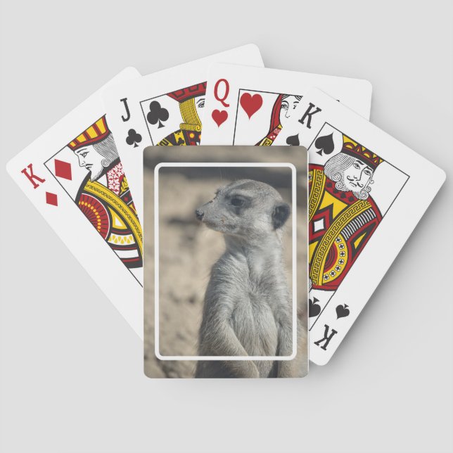 Rolig Meerkat Spel Kort (Baksidan)