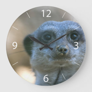 Rolig Meerkat Stor Klocka