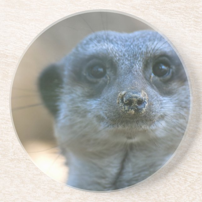 Rolig Meerkat Underlägg Sandsten (Framsidan)