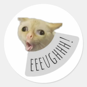 rolig meme katt runt klistermärke