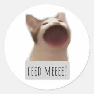 rolig meme katt runt klistermärke