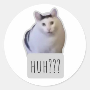 rolig meme katt runt klistermärke