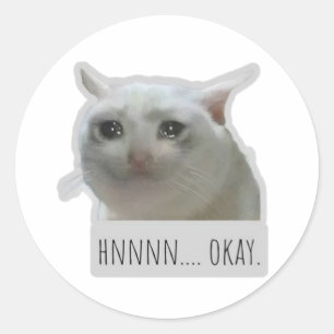 rolig meme katt runt klistermärke