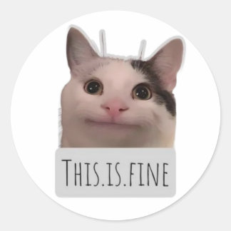 rolig meme katt runt klistermärke