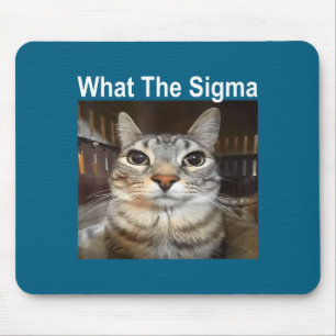 Rolig Meme Katt Vad Är Sigma Söt Katt Meme Citat Musmatta