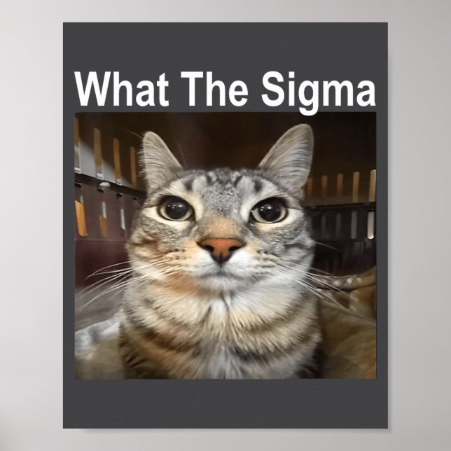 Rolig Meme Katt Vad Är Sigma Söt Katt Meme Citat  Poster (Framsidan)