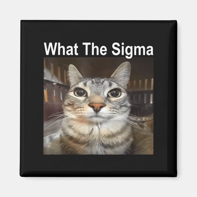 Rolig Meme Katt What The Sigma Söt Katt Meme Citat Magnet (Framsidan)