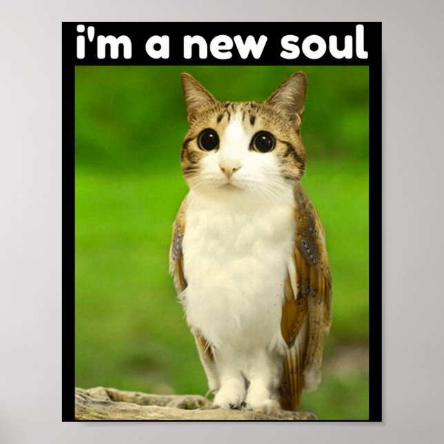 Rolig Meowl Hjärnrot Meme Katt Uggla Poster (Framsidan)