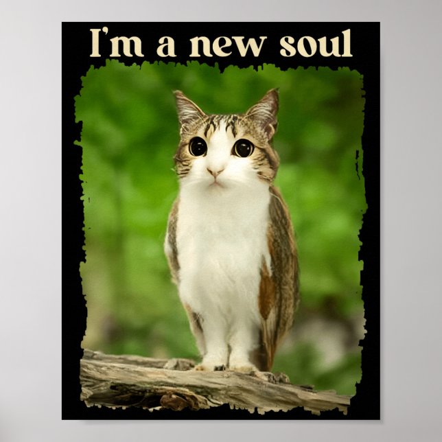 Rolig Meowl-meme, Katt Ugglameme Hjärnrot Gen Alph Poster (Framsidan)