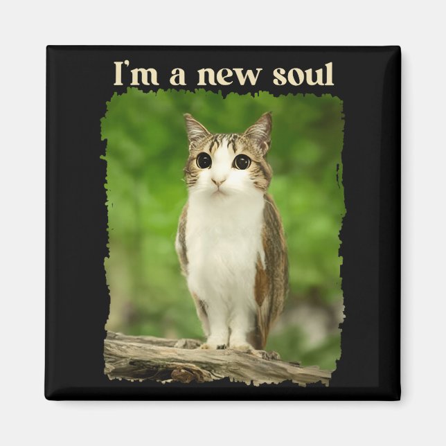 Rolig Meowl-Meme, Katt Ugglan Meme Hjärnrot Gen Al Magnet (Framsidan)