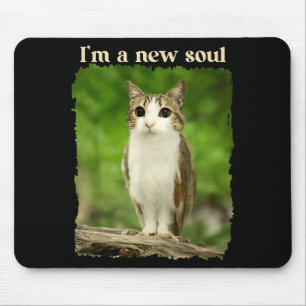 Rolig Meowl-Meme, Katt Ugglor Meme Hjärnråtta Gen Musmatta
