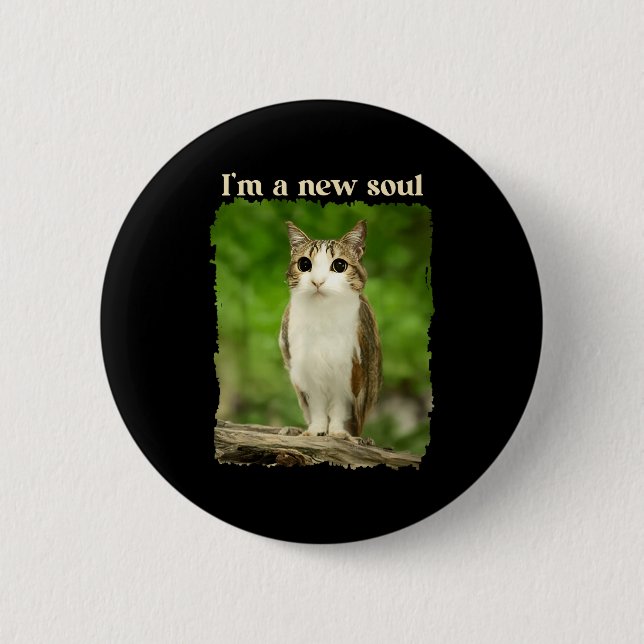 Rolig Meowl-Meme, Kattuggla-Meme Hjärnråtta Gen Al Knapp (Framsida)