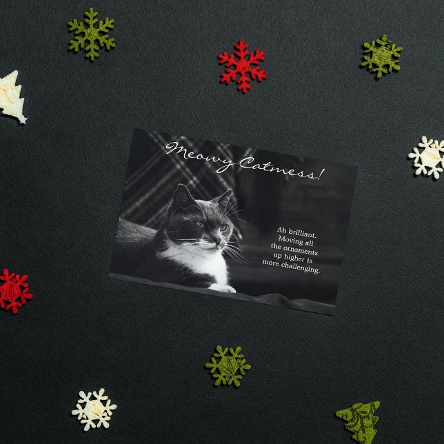 Rolig Meowy Katt Förvirring Jul Julkort (Skapare uppladdad)