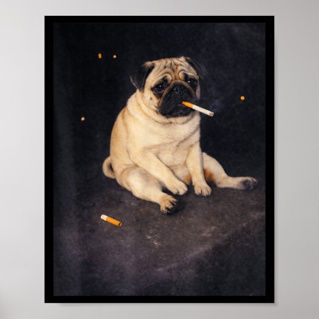 Rolig mops som röker meme cigarett hund meme gata poster (Framsidan)