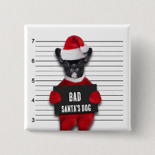 Rolig Mugshot Julen Tomtens Hund Jul Knapp