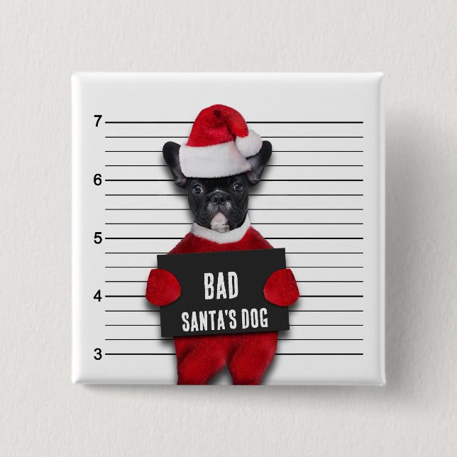 Rolig Mugshot Julen Tomtens Hund Jul Knapp (Framsida)