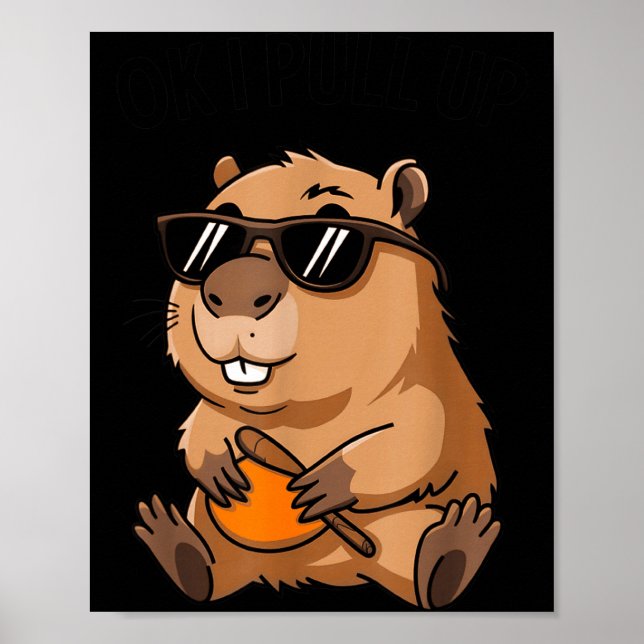 Rolig Murmeldjur Ok Jag Drar Upp Sungles  Poster (Framsidan)
