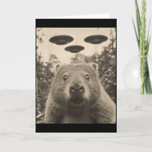 Rolig Murmeldjurs Selfie Med Ufo:er Konstig Murmel Kort