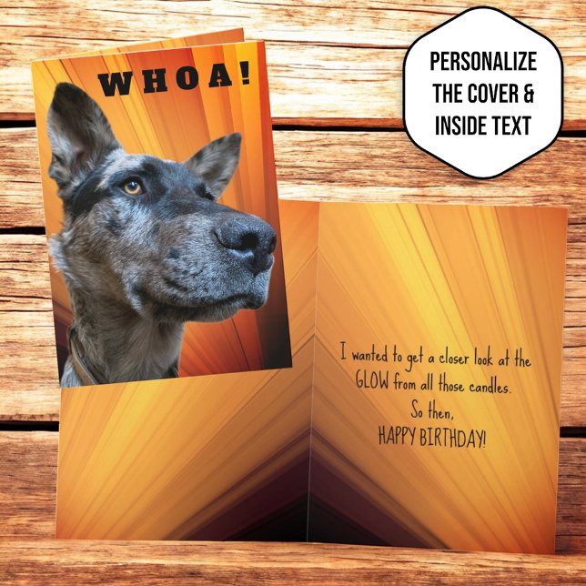Rolig närbild Foto Nötkreatur Hund Huvud Kort (front and inside template greeting card)