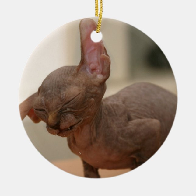 Rolig nysa sphynxkattunge julgransprydnad keramik (Framsidan)