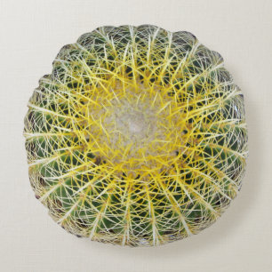 Rolig obekväm botanisk jordklotkaktus rund kudde