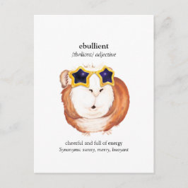 Rolig ordbok Marsvin Postkort Vykort