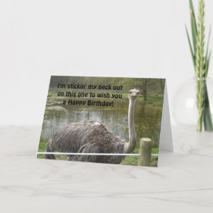Rolig Ostrichfödelsedag Kort