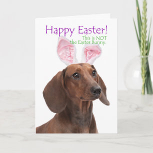 Rolig påskkort med dachshund helgkort