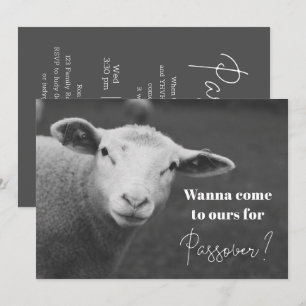 Rolig Passover-inbjudan Inbjudningar