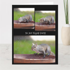 Rolig pensionering för ekorre från gänget kort