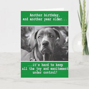 Rolig Personlig Hund Foto Födelsedag Kort