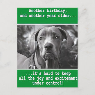 Rolig Personlig Hund Foto Födelsedag    Vykort