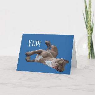 Rolig Pit Bull Kort