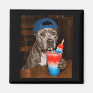 Rolig Pitbull-meme som dricker patriotisk slusie Magnet