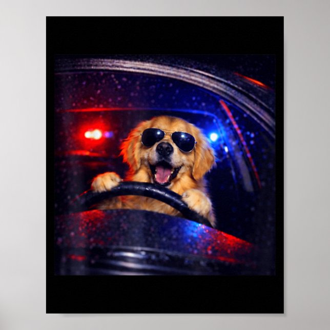 Rolig polis golden retriever kör bil hund meme poster (Framsidan)