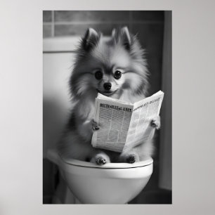 Rolig Pomeranian Badrumstryck, Läsning av Tidning Poster