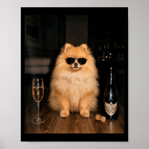 Rolig Pomeranian Dricker Champagne Meme Poster