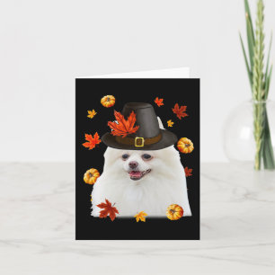 Rolig Pomeranian Hund Pilgrimsmössa Höst Glad Tack Kort